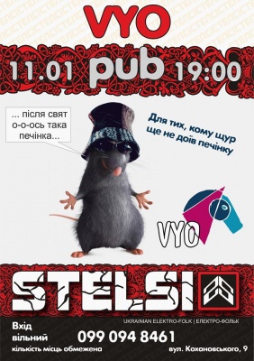 Концерт STELSI